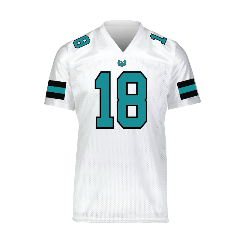 Varsity Fan Jersey - Mens/Unisex