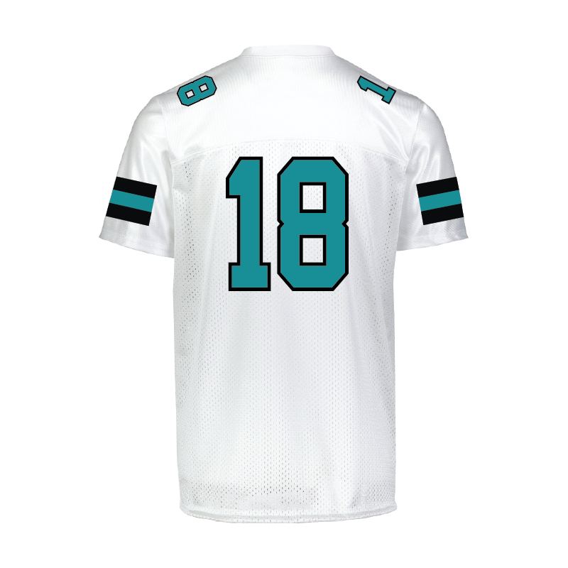 Varsity Fan Jersey - Mens/Unisex