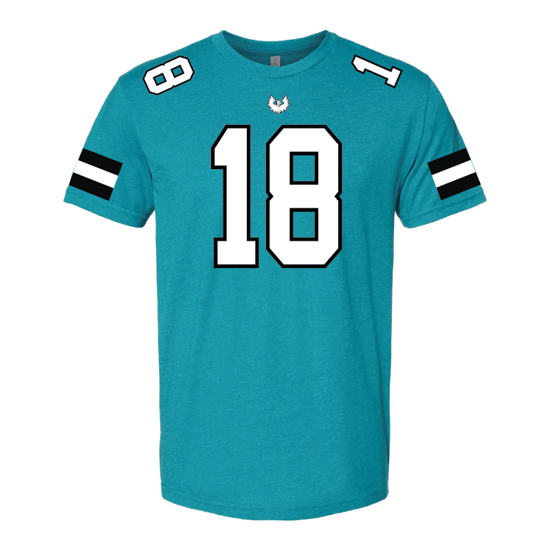 Varsity Fan Jersey CVC T-Shirt - Mens/Unisex