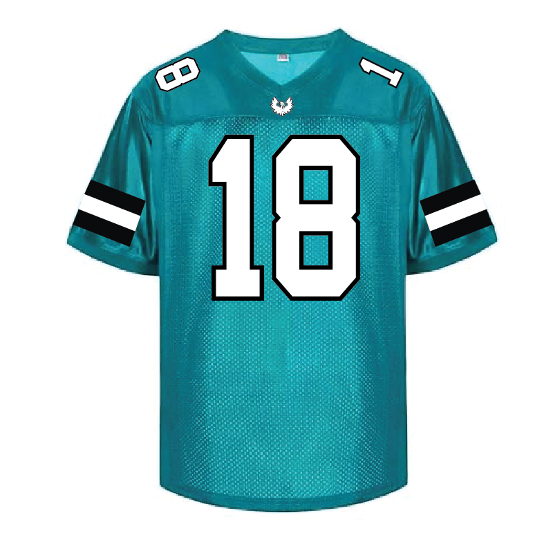 Varsity Fan Jersey - Mens/Unisex