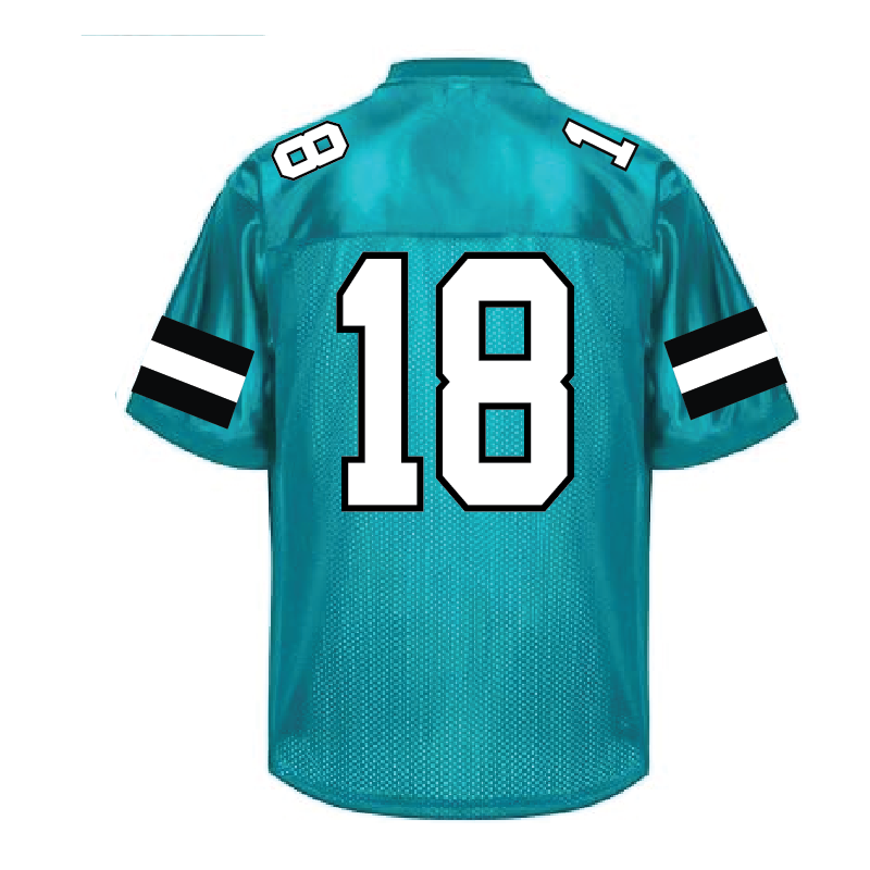 Varsity Fan Jersey - Mens/Unisex
