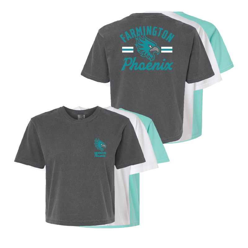 Farmington Phoenix Vintage Mascot Womens Heavy Weight Boxy T-shirt