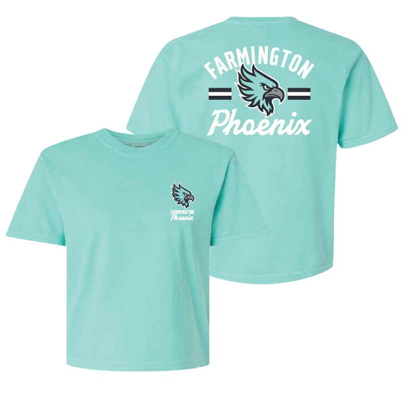 Farmington Phoenix Vintage Mascot Womens Heavy Weight Boxy T-shirt