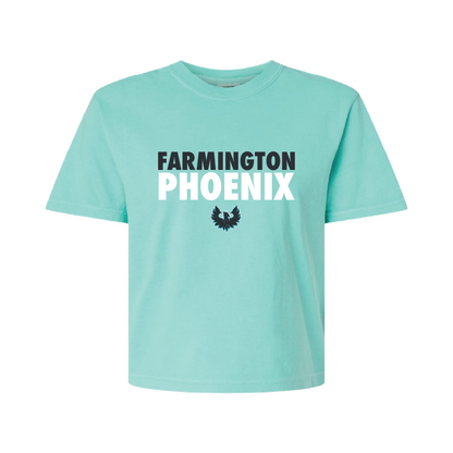 Stacked Farmington Phoenix - Womens Heavy Weight Boxy T-shirt