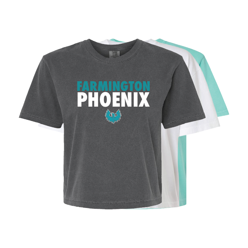 Stacked Farmington Phoenix - Womens Heavy Weight Boxy T-shirt
