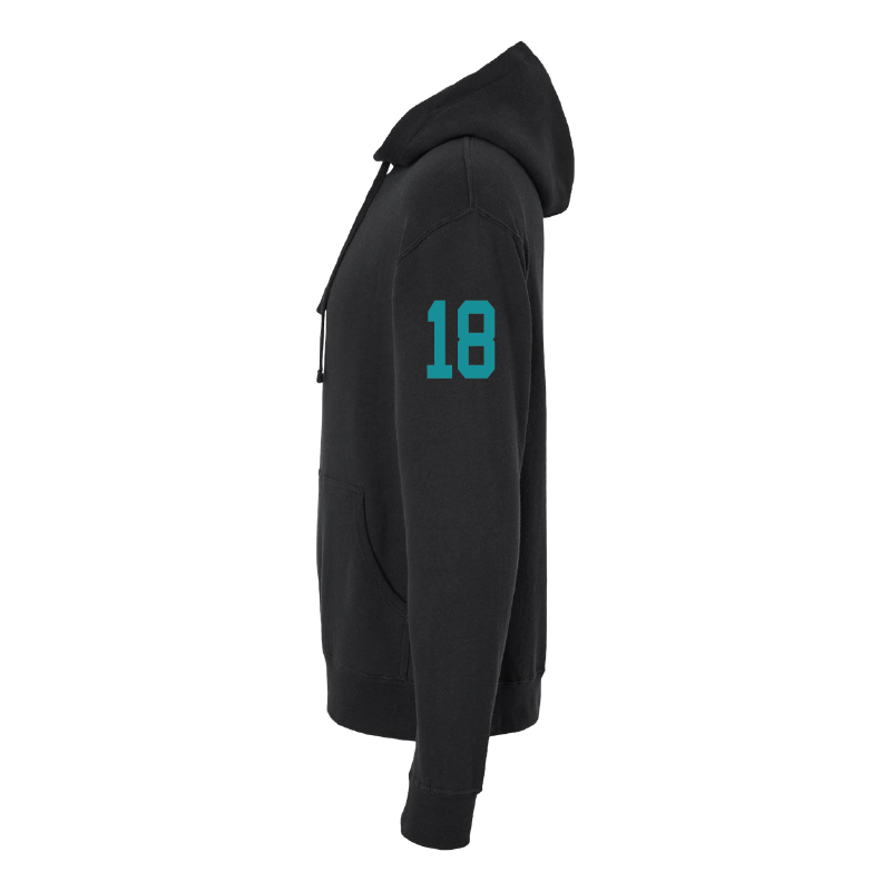 Farmington High School Phoenix Vintage Mascot - Mens/Unisex Hoodie