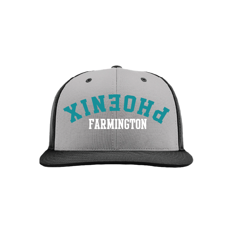 Upside Down Phoenix - Performance Hat