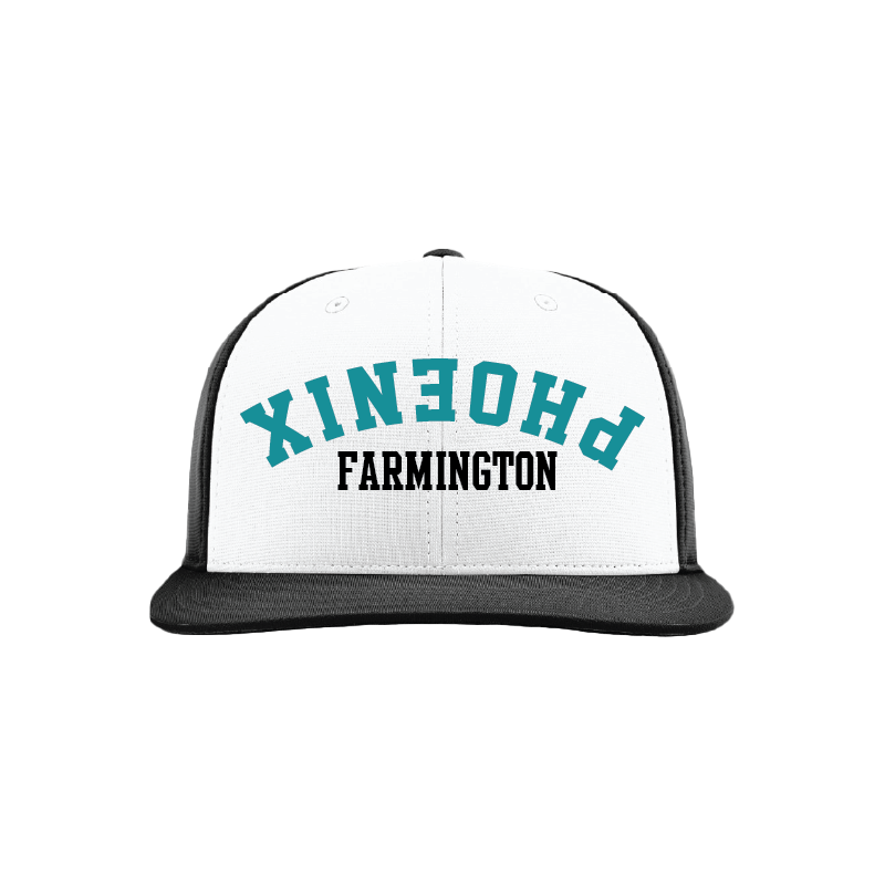 Upside Down Phoenix - Performance Hat
